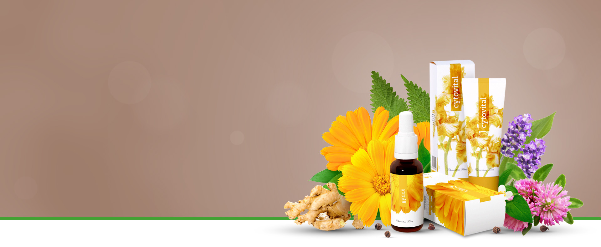 2023-03-29_phiwana-Hero-01